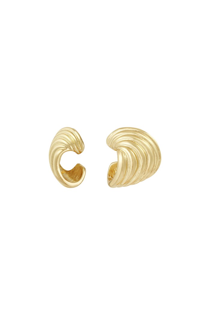 Elegant Waves earrings