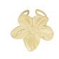 PETAL POP RING